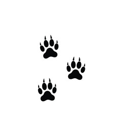 Three black bear paw prints on white background