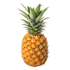 Fototapeta premium One fresh juicy pineapple with green crown isolated on a transparent background