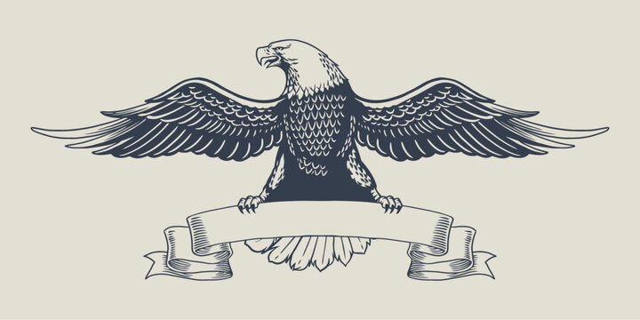 Vintage American Eagle Illustration Perched on Ribbon