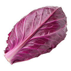 Obraz premium A fresh leaf of purple cabbage vegetable isolated on a transparent background