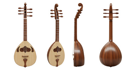 Oud instrument multiple views