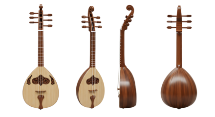 Oud instrument multiple views
