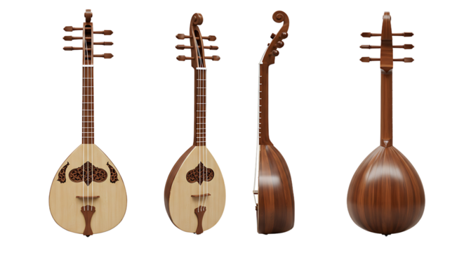 Oud instrument multiple views