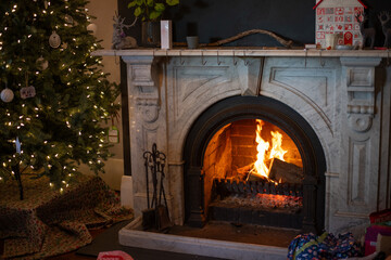 a fire in a marble enclosed open fireplace, with christmas tree and other items