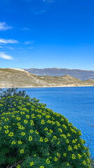 Scenic View Of Yellow Wildflowers Overlooking A Blue Sea And Rocky Mountains Under A Bright Sky, Representing Spring Nature, Coastal Beauty, And Tranquil Landscapes With Copy Space