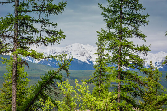Breathtaking Hungry Horse Reservoir in the Flathead valley of beautiful northwestern Montana. Surrounded by towering mountains and is 34 miles long with 170 miles of shoreline.