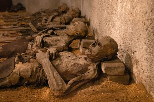 Mummified skulls in a crypt