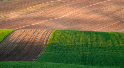 Gorgeous rural landscape with green sunny spring hills. South Moravia region, Czech Republic