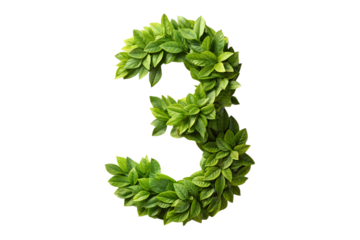 Green Leaf Number Three Nature's Artistic Number Three Design