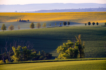 Gorgeous rural landscape with green sunny spring hills. South Moravia region, Czech Republic