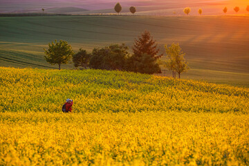 Gorgeous rural landscape with green sunny spring hills. South Moravia region, Czech Republic