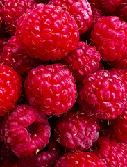 sweet raspberry. High quality photo