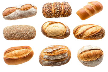 Assorted artisan bread varieties – ultra-high-resolution transparent PNG cutout featuring crusty baguette, sourdough boule, ciabatta, whole-grain loaf and rye slice, perfect for bakery menu layouts