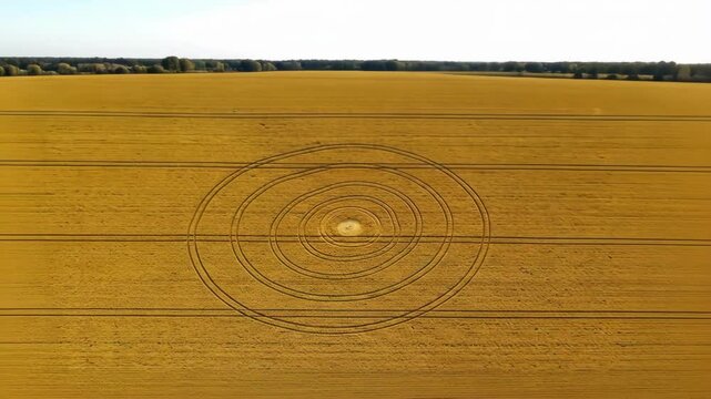 Aerial view of a crop circle pattern in a golden field.