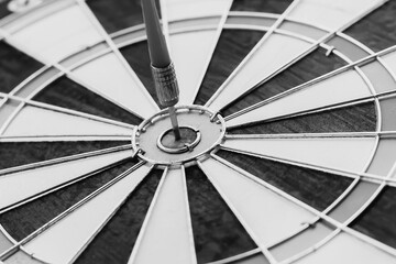 Dart hitting the center of the dartboard business target concept