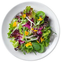 Fresh Green Lettuce Salad with Red and Yellow Cherry Tomatoes on White Plate Perfect for Healthy and Colorful Meal