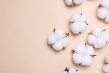 Cotton flowers on beige background. Copy space