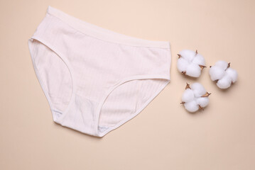 Women's comfortable panties with cotton flowers on beige background. Natural underwear