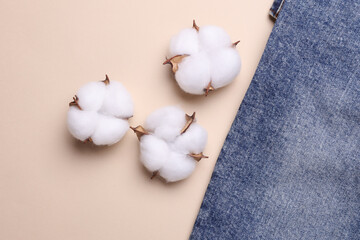 Blue jeans with cotton flowers on light background