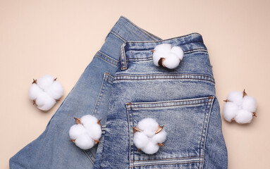 Blue jeans with cotton flowers on light background