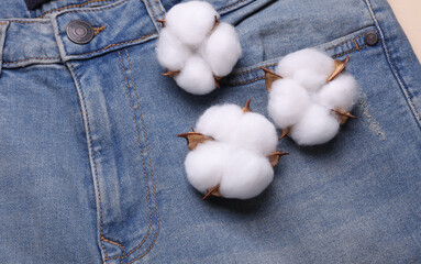 Blue jeans with cotton flowers on light background