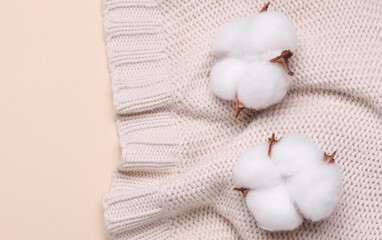 Sweater with cotton flowers on a beige background