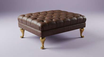 Brown Leather Ottoman with Gold Legs Photograph