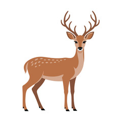 Fototapeta premium Deer isolated on white background. Vector illustration in flat style.