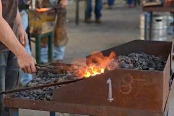 farrier heats the horseshoe