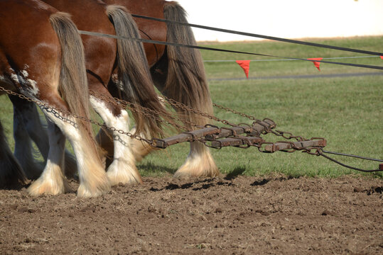 ploughing demonstration