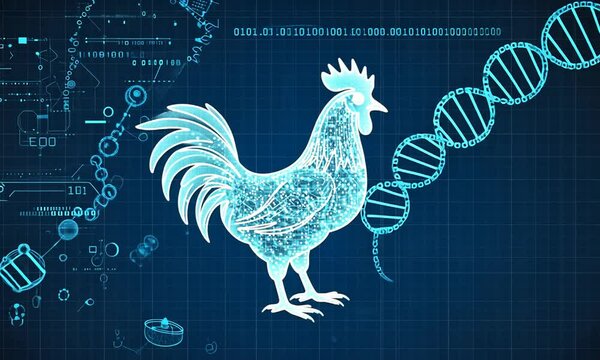 Digital representation of a rooster amidst DNA strands and data patterns, symbolizing biotechnology