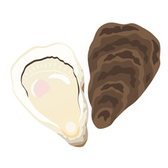 牡蠣と牡蠣殻のイラスト