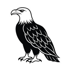 Obraz premium Eagle head on white background. Vector illustration in black and white colors.
