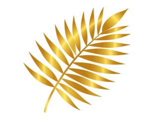 Golden palm leaf branch isolated on transparent background