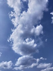 blue sky with bunny shaped clouds