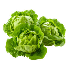 Fresh Lettuce Heads: A close-up shot of three vibrant green lettuce heads, showcasing their fresh, crisp leaves and intricate textures, perfect for culinary creations.
