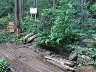 日高市の日和田山登山道にある水場（男坂登り口）