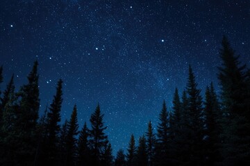 Starry night sky over a dark forest