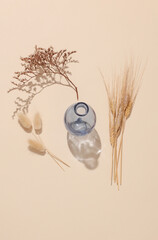 Glass vase with dried flowers on beige background with shadow from sunlight. Minimalistic aesthetic still life. Top view