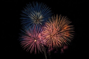 Fireworks bursts in vibrant colors against a black night sky