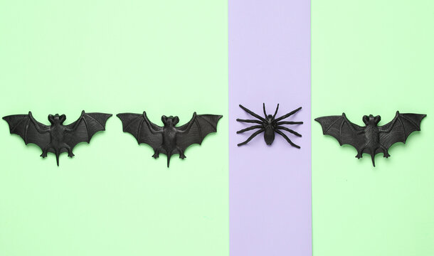 Creative halloween layout of plastic bats and spider on pastel background - Powered by Adobe