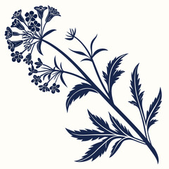 black and white lungwort