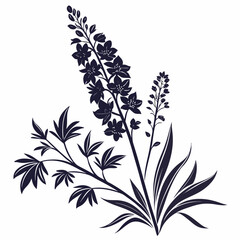 black and white larkspur