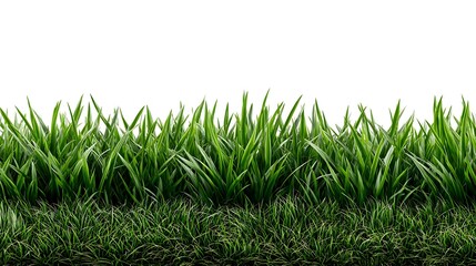 Obraz premium Fresh Green Grass Patch Isolated on White Background for Seamless Design Element