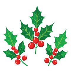 Three Sets of Glossy Green Holly Branches with Red Berries Illustration