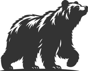 Big animal mammal vector of a bear silhouette