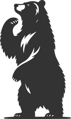 Big animal mammal vector of a bear silhouette