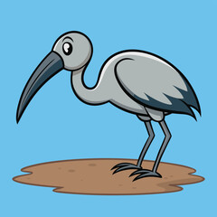 Obraz premium Ibis with its decurved bill, probing unseen ground for food in wetland.