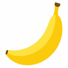 Cavendish Banana Fruit on White Background