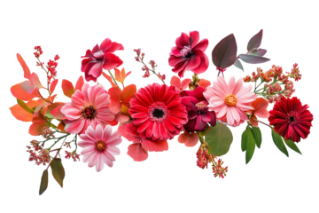 High-resolution red and pink floral bouquet isolated on transparent background PNG cutout — vibrant layered blossoms perfect for spring wedding invitations, greeting cards and botanical graphic design